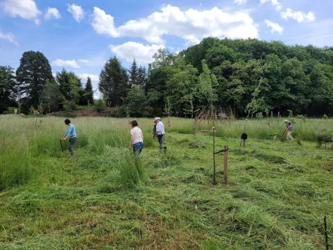Maaien in een voedselbos, Huize Chartreuze